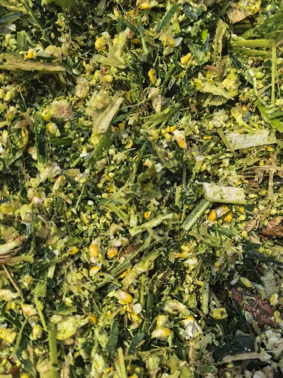 Jakie główne mocne strony sprawiają, że Yiman Agriculture jest Twoim idealnym dostawcą w zakresie projektów importu luzem kiszonej kapusty?