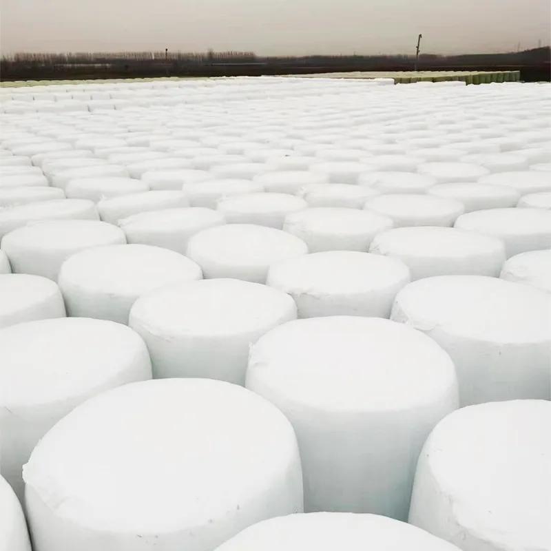 Round Bale Whole Plant Corn Silage
